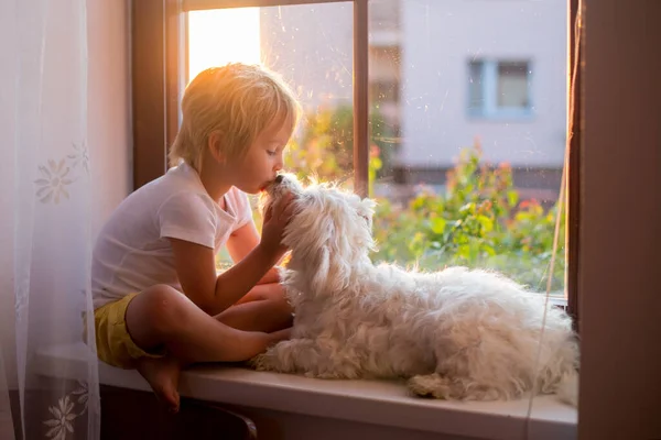 Lindo Niño Pequeño Sentado Con Perro Mascota Ventana Atardecer Casa —  Fotos de Stock