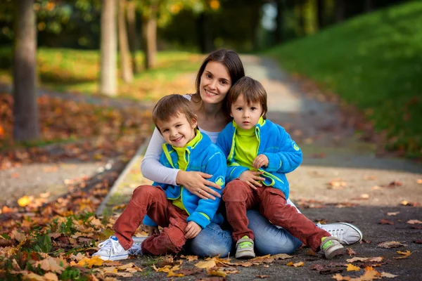 공원에서 그녀의 두 아이 들과 어머니 — 스톡 사진