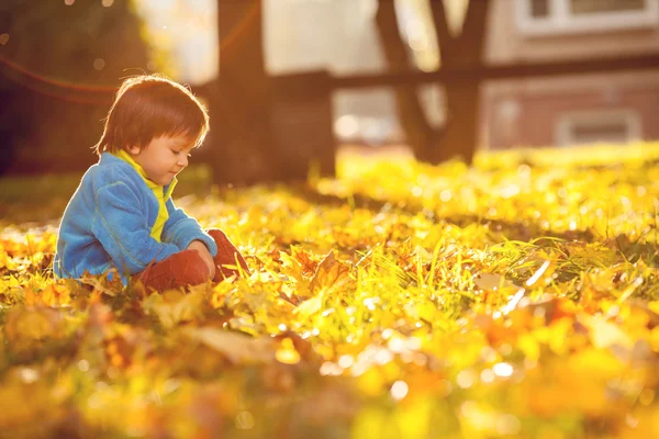 Очаровательный мальчик с осенними листьями в парке красоты — стоковое фото
