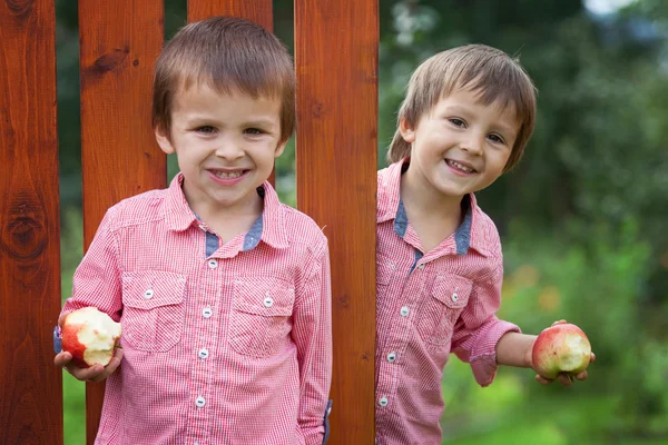 Adorables garçons en chemises rouges, tenant des pommes, souriant — Photo
