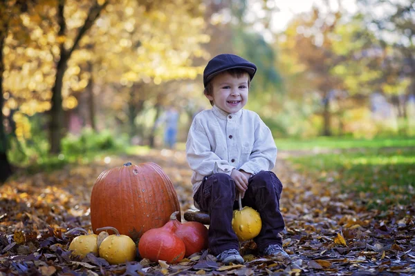 Küçük çocuk, küçük bir tahta sandalyede oturan gülümseyen — Stok fotoğraf