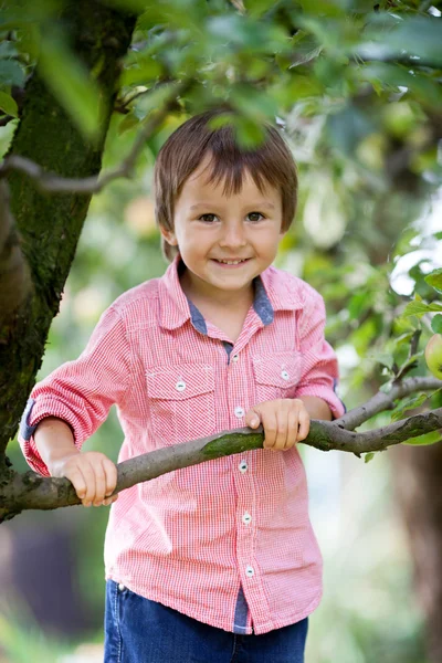 Egy aranyos kaukázusi fiú szoros portréja — Stock Fotó