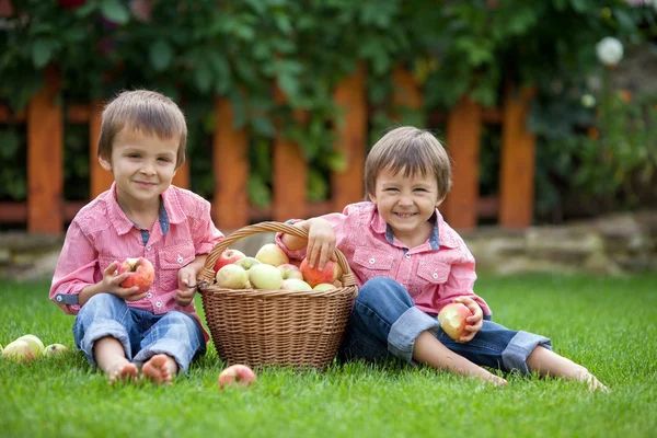 Zwei entzückende Jungen, die auf dem Gras sitzen und Äpfel essen — Stockfoto