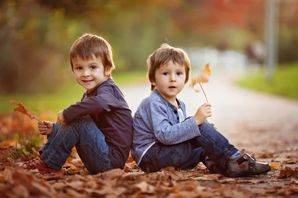 Meninos adoráveis com folhas de outono no parque de beleza — Fotografia de Stock