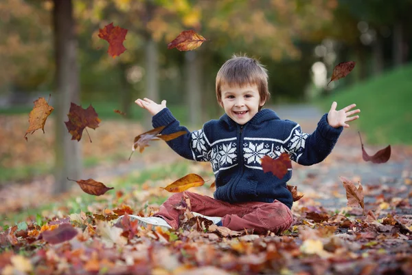 Giovane ragazzo, gettando foglie nel parco — Foto Stock