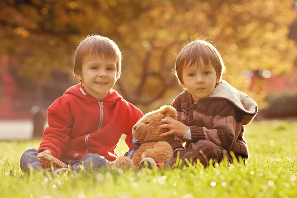 两个可爱的小男孩在公园里的玩具熊 — 图库照片