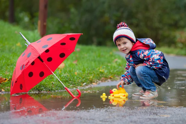 Netter Junge mit Hut, der im Park mit Gummienten spielt — Stockfoto