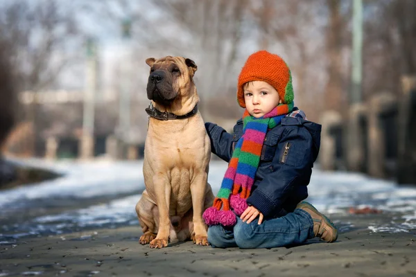 Little boy in the park with his dog friends — Stock Photo, Image