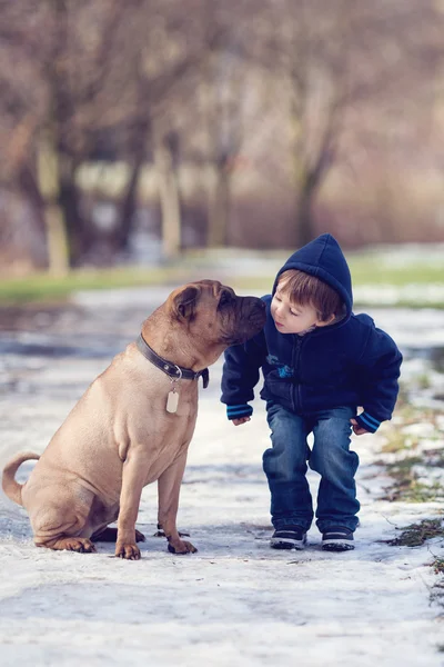 Boy with cute dog, giving him a kiss — Stock Photo, Image