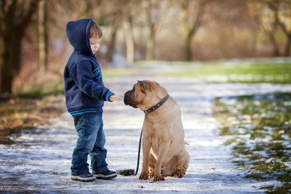 Liten pojke med sin hund i parken, mata honom — Stockfoto
