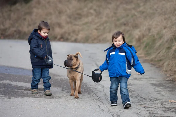 Yürüyüş ve gülümseyen iki küçük çocuklarla parkta, onların köpek — Stok fotoğraf