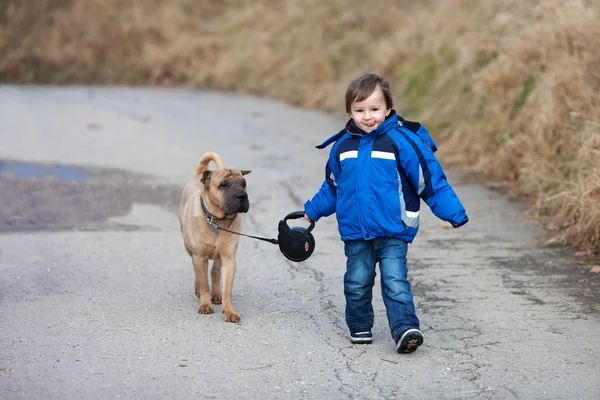 Parkta, köpeğiyle yürüyen ve gülümseyen küçük çocuk — Stok fotoğraf