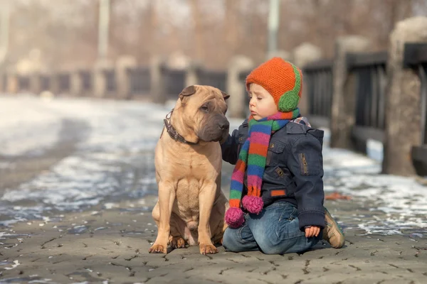 Kleiner Junge im Park mit seinen Hundefreunden — Stockfoto