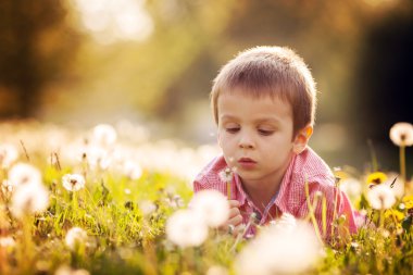 Eğleniyor şirin küçük çocuk bir karahindiba alanda