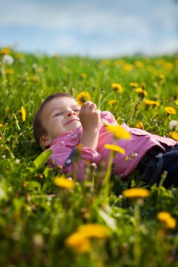 Eğleniyor şirin küçük çocuk bir karahindiba alanda 