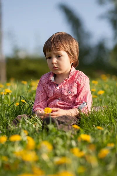 Niedliche kleine Junge in einem Löwenzahnfeld, Spaß haben — Stockfoto