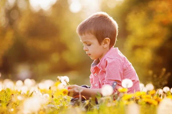 Schattige kleine jongen in een paardebloem veld, plezier — Stockfoto