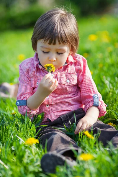 Schattige kleine jongen in een paardebloem veld, plezier — Stockfoto