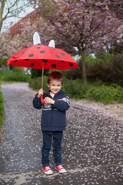 Roztomilý chlapeček, drží deštník, procházky v parku — Stock fotografie