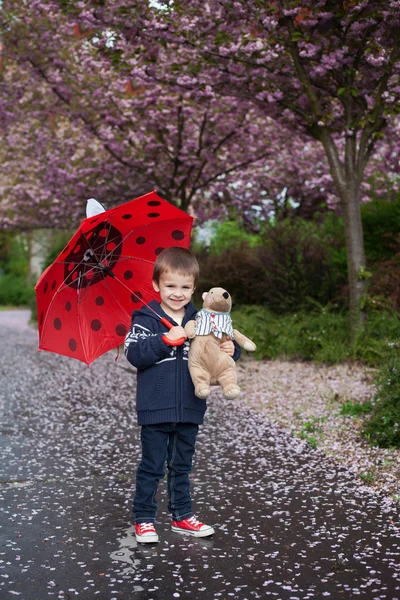 귀여운 어린 소년, 장난감 친구와 우산을 들고 — 스톡 사진