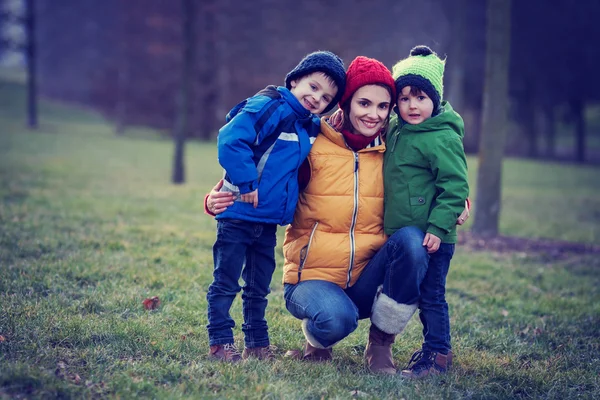 一个母亲带着她的两个男孩的可爱彩色肖像 — 图库照片