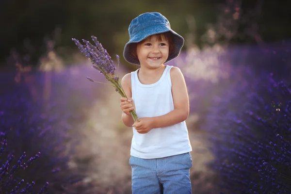 Garoto bonito adorável com um chapéu em um campo de lavanda — Fotografia de Stock