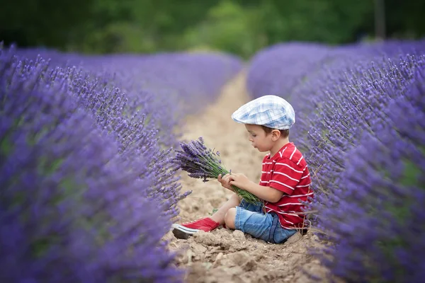 Lilla fashionabla pojke ha kul i lavendel fält — Stockfoto