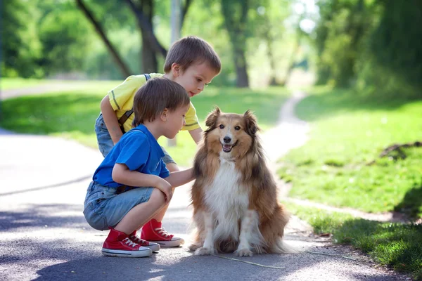 Due adorabili ragazzi, fratelli, accarezzando simpatico cane nel parco — Foto Stock