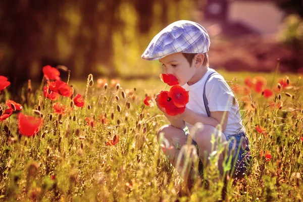 Niño lindo con flor de amapola en el campo de amapola en el cálido día de verano —  Fotos de Stock
