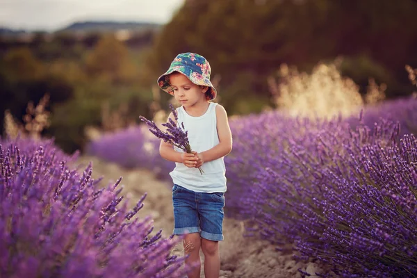 Bedårande söt pojke med en hatt i ett lavendel fält — Stockfoto
