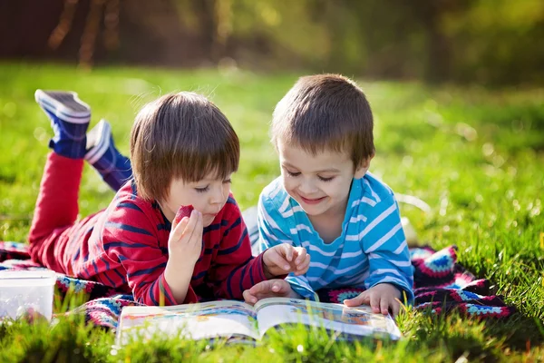 Deux adorables mignons garçons caucasiens, couchés dans le parc dans une fine su — Photo