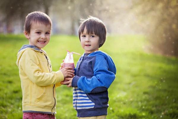 Sweet boys in the park, holding bottle with smoothie, drinking — Stock Photo, Image