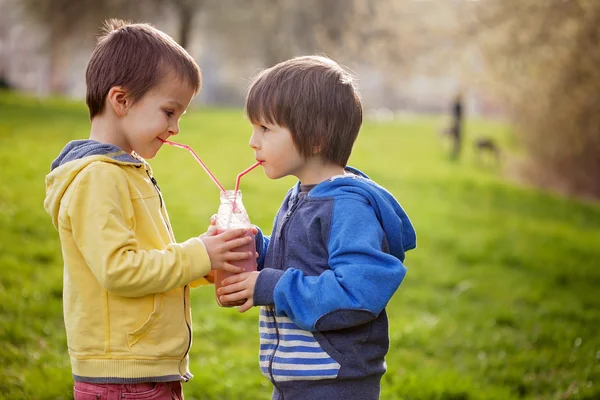 Süße Jungs im Park, Flasche mit Smoothie in der Hand, trinken — Stockfoto