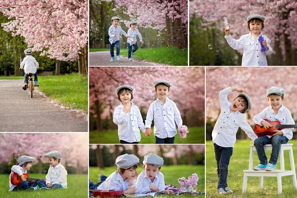 Collage of pictures of two adorable caucasian boys in a blooming — Stock Photo, Image