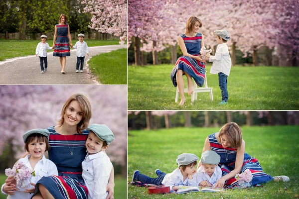 Belo retrato da mãe e seus dois filhos em uma cereja bl — Fotografia de Stock