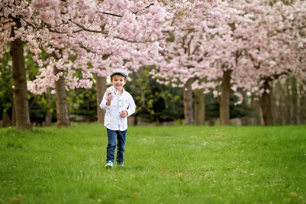 Portrait of adorable little boy in a cherry blossom tree garden, — Stock Photo, Image