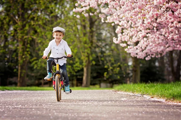 美丽的画像，可爱的白人小男孩，骑双 — 图库照片