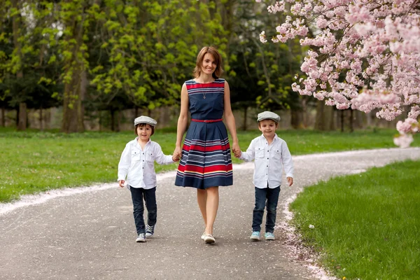 Beautiful portrait of mother and her two children in a cherry bl — Stock Photo, Image