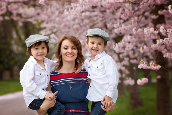 Beautiful portrait of mother and her two children in a cherry bl — Stock Photo, Image