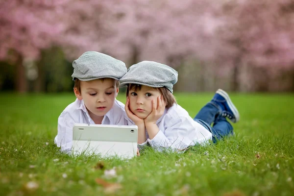 Dos adorables chicos en un jardín de flores de cerezo en la tarde de primavera — Foto de Stock