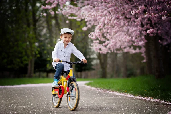 Wunderschönes Porträt eines entzückenden kleinen kaukasischen Jungen, der auf einem Bi reitet — Stockfoto