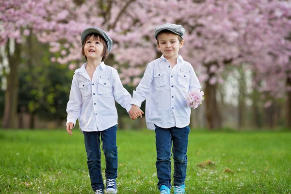 Två bedårande kaukasiska pojkar i en blommande körsbär träd trädgård, sp — Stockfoto