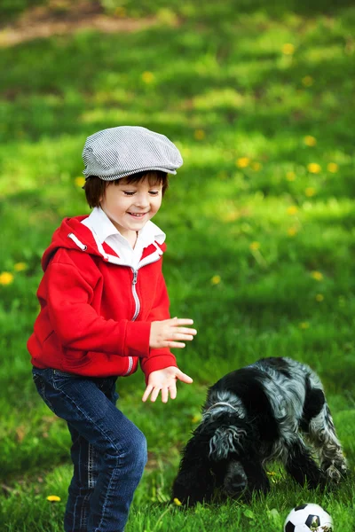 Lindo niño riendo y su perro, jugando en el parque, primavera —  Fotos de Stock