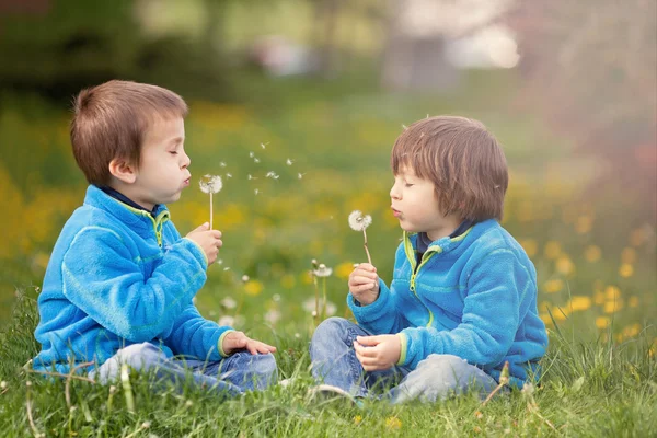 Feliz bonito caucasiano meninos, soprando dente de leão ao ar livre na primavera — Fotografia de Stock