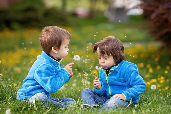 Happy cute caucasian boys, blowing dandelion outdoors in spring — Stock Photo, Image