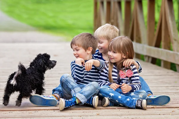 Трое прекрасных очаровательных детей, братья и сёстры, играют с милыми маленькими девочками. — стоковое фото
