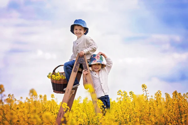 Niños felices, sentados en una escalera de madera en fie violador amarillo —  Fotos de Stock