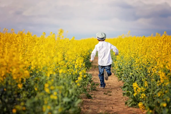 Adorable little boy, running in yellow oilseed rape field — Stock Photo, Image