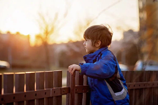 Aranyos kisfiú, állva egy kerítés mellett figyeli a napok — Stock Fotó