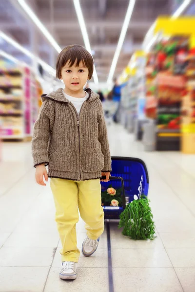 Cute little and proud boy helping with grocery shopping, healthy — Stock Photo, Image